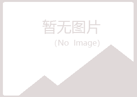 青岛崂山斑驳舞蹈有限公司